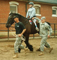 Working with horses is a powerful and enduring method of healing; it brings not only physical improvements in such areas as balance, strength, flexibility and posture; the emotional interaction helps improve communication, self-confidence and team buildin